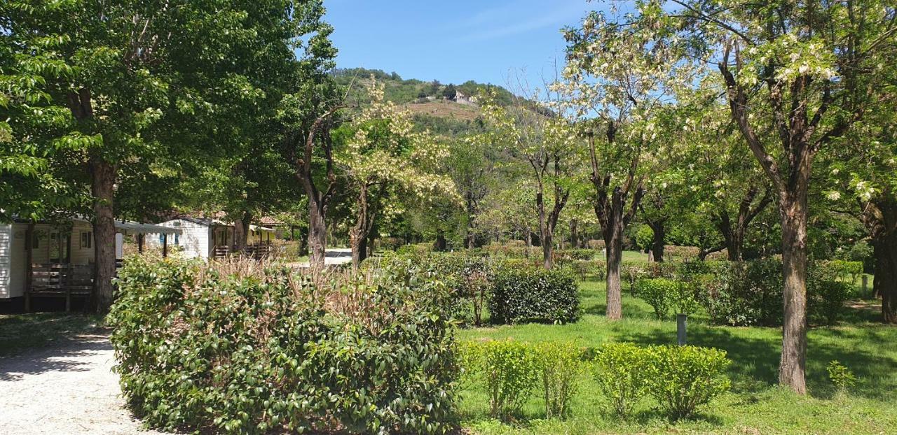 Camping Avec Piscine Et Riviere A Tournon Sur Rhone Ardeche Exteriör bild
